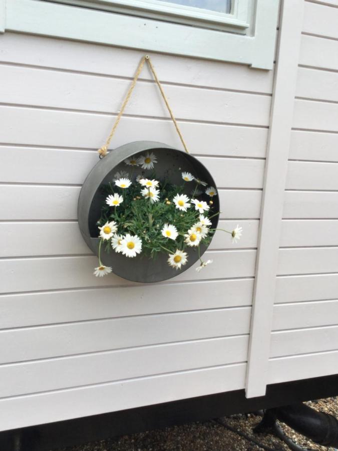 The Cosy Hut Faversham Exterior foto