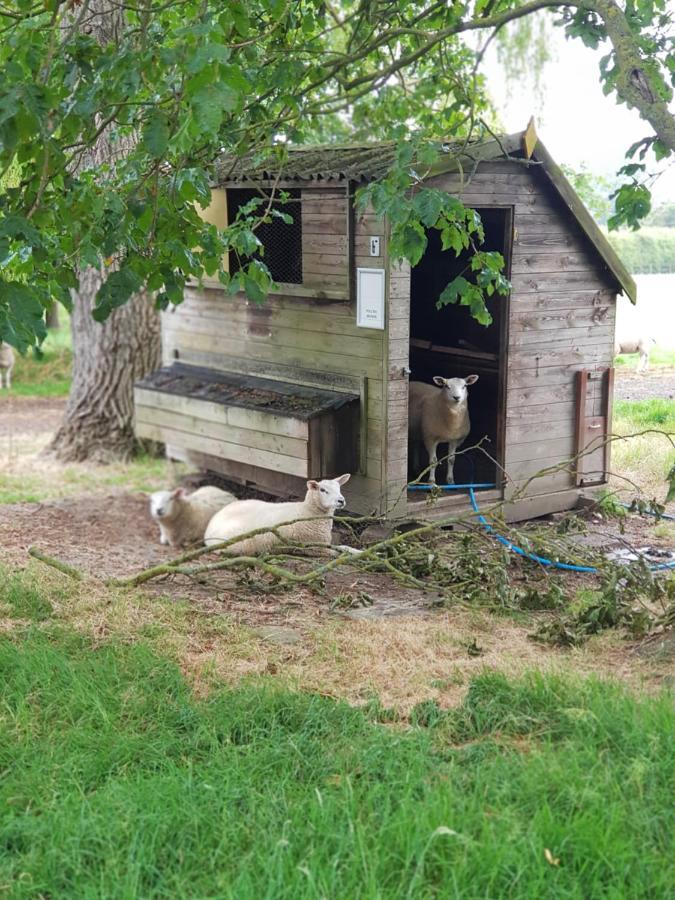 The Cosy Hut Faversham Exterior foto